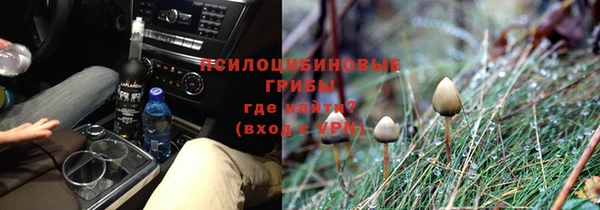 метадон Осташков