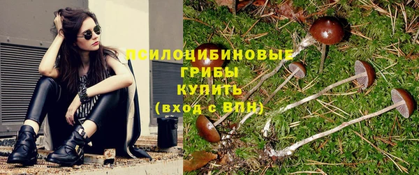 ешки Осинники