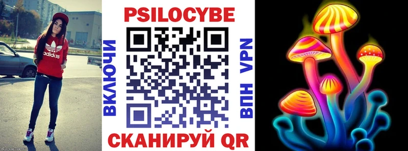 дарнет шоп  Ряжск  Псилоцибиновые грибы Cubensis 